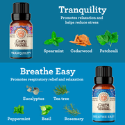 GuruNanda Essential Oils Set of 6 Blended Scents for Aromatherapy and Diffusers, 100% Pure and Natural, 10 mL Each