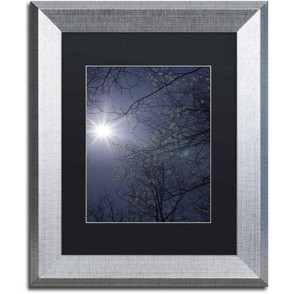 Trademark Fine Art "Springtime Sunshine" Canvas Art by Kurt Shaffer, Black Matte, Silver Frame