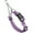Amethyst Purple, variant on Biothane Adjustable Martingale Collar with Quick Release Buckle