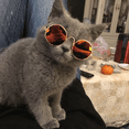thumbnail image 4 of Pet Sunglasses Dog Cool Stylish Cat Eye Protection Funny Cute Round Sunglasses (Colorful Reflective), 4 of 4