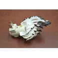 thumbnail image 2 of Black Murex Seashell Nightlight, 2 of 3
