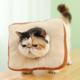 thumbnail image 5 of Creative Toast Bread Pet Collar – Soft Adjustable Protective Cone for Dogs & Cats, Cute Photo Prop Elizabethan Collar, 5 of 9