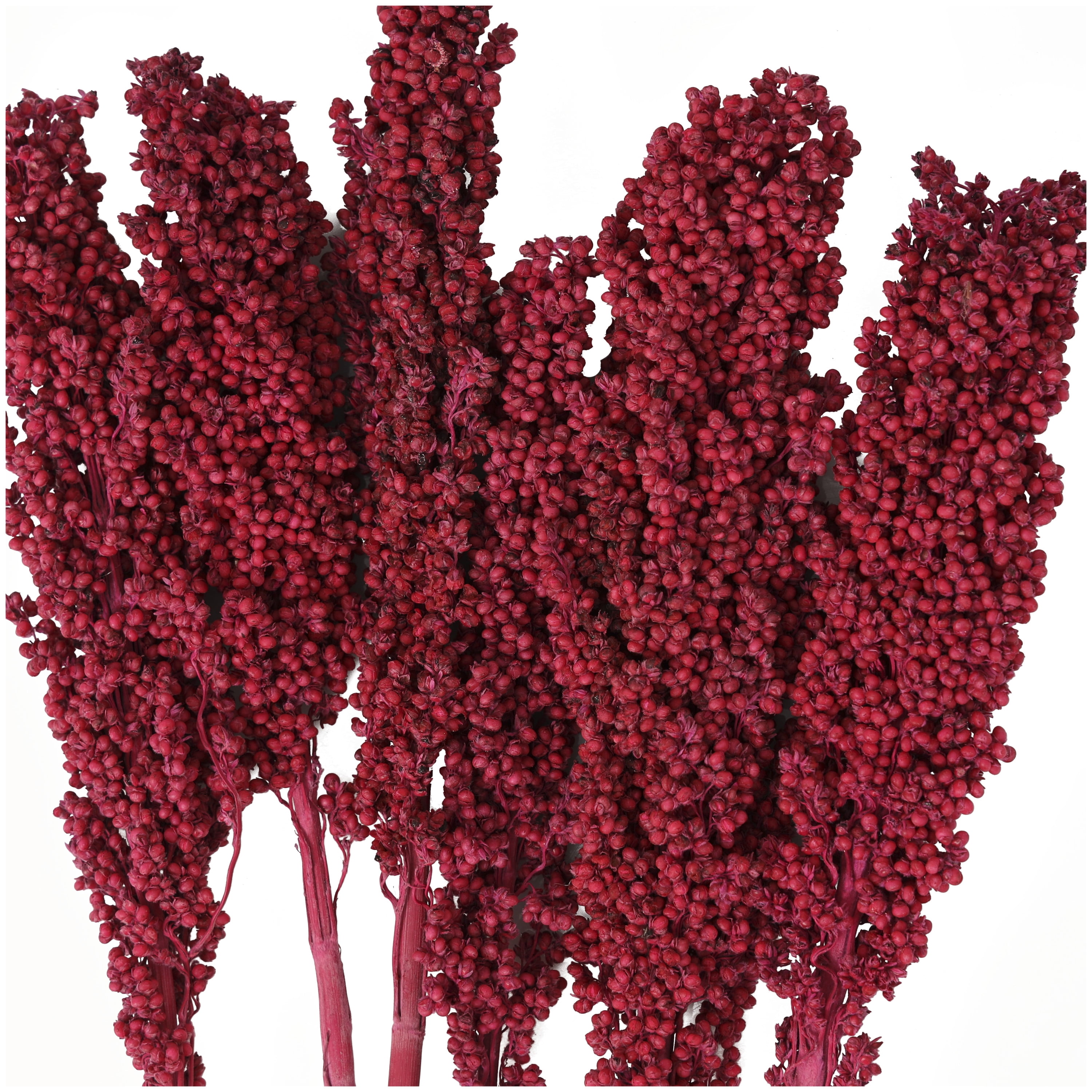 30" Dried Plant Natural Foliage Corn Maze Bouquet with Long Stems, by DecMode