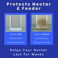Nectar Defender Hummingbird Nectar Extender Prolongs the Life of