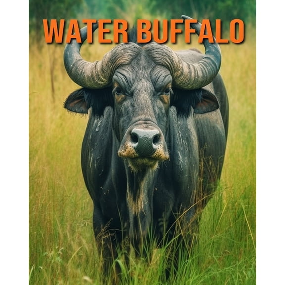 Water Buffalo: Fun Facts Book for Kids with Amazing Photos, (Paperback)