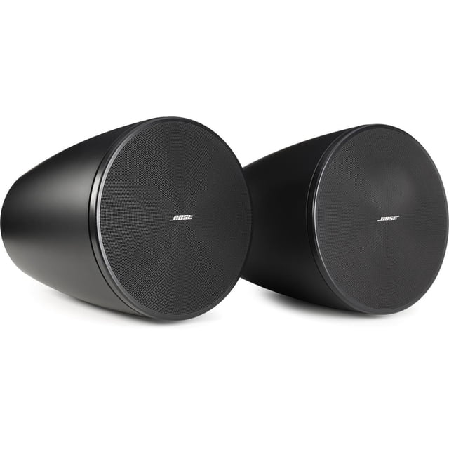 Bose DesignMax DM6PE - Altavoz colgante de dos vías - Negro (par)