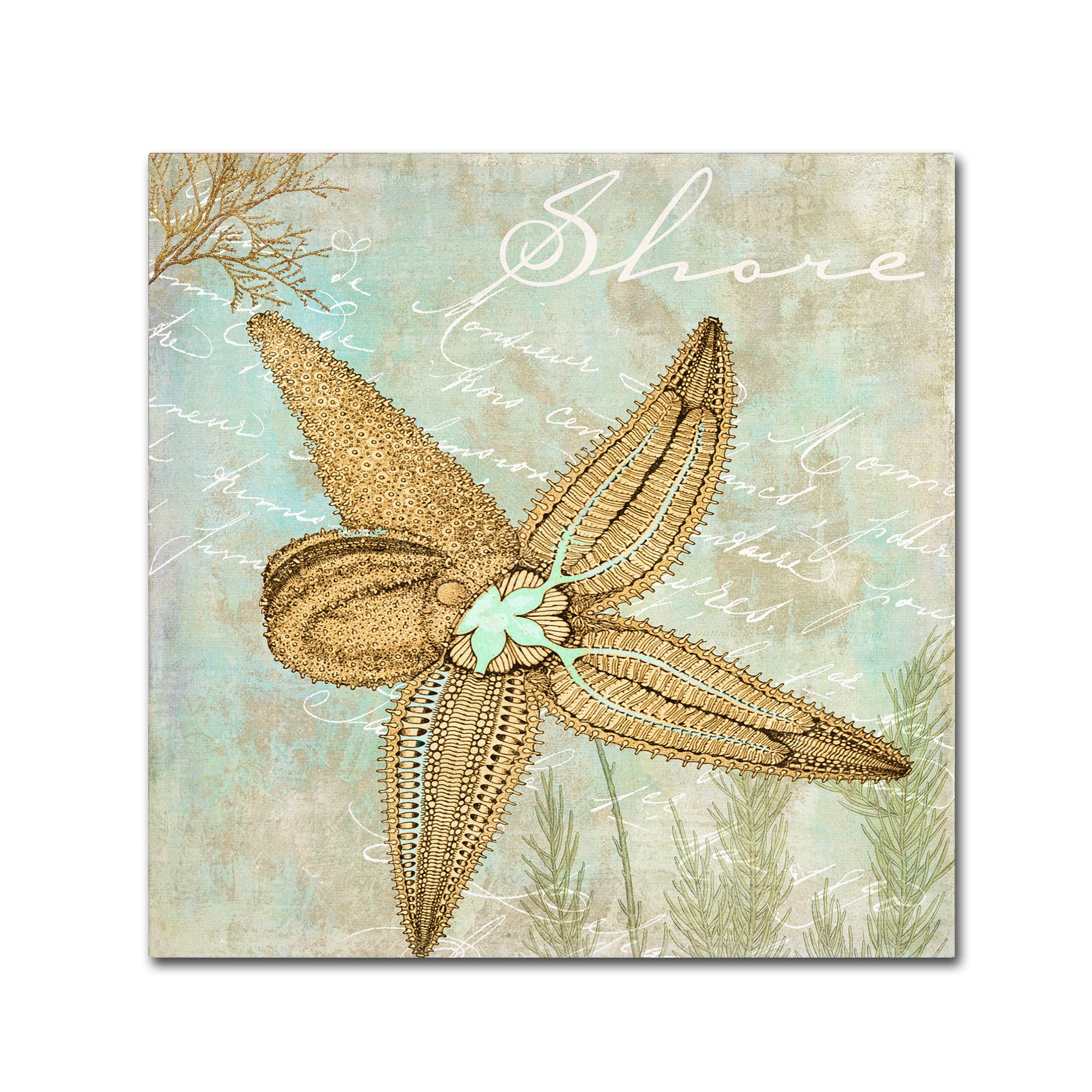 Trademark Fine Art "Turquoise Beach V" Canvas Art by Color Bakery