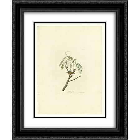 104 Matt - John James Audubon 2x Matted 20x24 Black Ornate Framed Art Print 'Plate 104 Chipping Sparrow'