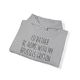 thumbnail image 4 of Brussels Griffon Dog Mom Mothers Day Hoodie Gifts Hooded Sweatshirt, 4 of 4