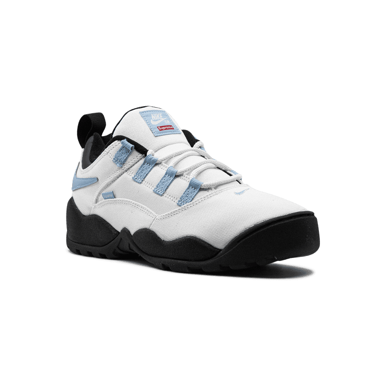 NIKE MENS SB Darwin Low 