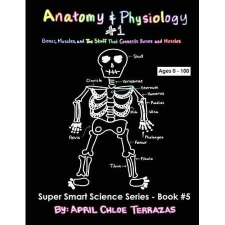 Bone Part - Anatomy & Physiology Part 1 : Bones, Muscles, and the Stuff That Connects Bones and Muscles