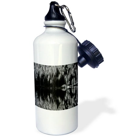 3dRose Lodgepole Pines, Bear Lake, Rockies, Colorado, USA - US06 AJE0026 - Adam Jones, Sports Water Bottle,