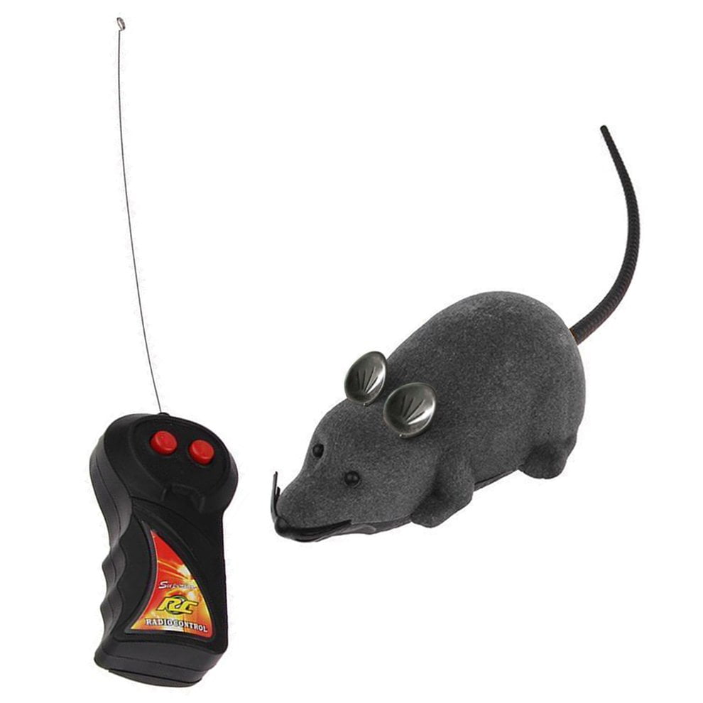 rc mouse