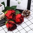 thumbnail image 6 of Efavormart 31" | 24pcs Red, Black Tip Long Stem Artificial Silk Roses Flowers, 6 of 11