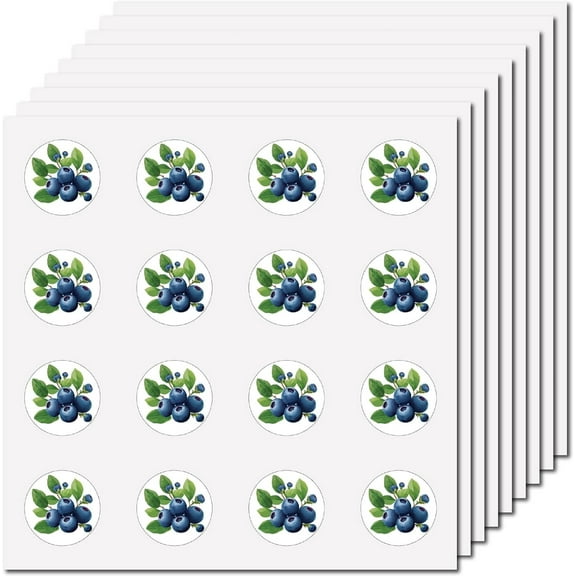 8Pcs Plastic Waterproof Self-Adhesive Picture Stickers Round Dot Cartoon Decals for Kid's Art Craft Blueberry 150x150mm Sticker: 25mm 8 pcs/set