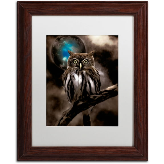 Trademark Fine Art "Night Owl" Canvas Art by Color Bakery White Matte, Wood Frame