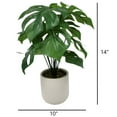 Mainstays Artificial Plastic Green Monstera Plant with Ceramic Pot, 14