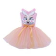 thumbnail image 1 of Vestido de Pascua para niñas pequeñas, vestido de tutú de tul de conejo bonito con orejas rosadas, disfraz de conejito de Cosplay para bebés y niños, fiesta de carnaval de cumpleaños 160 (10-12T) Gao Jinjia LED, 1 of 2