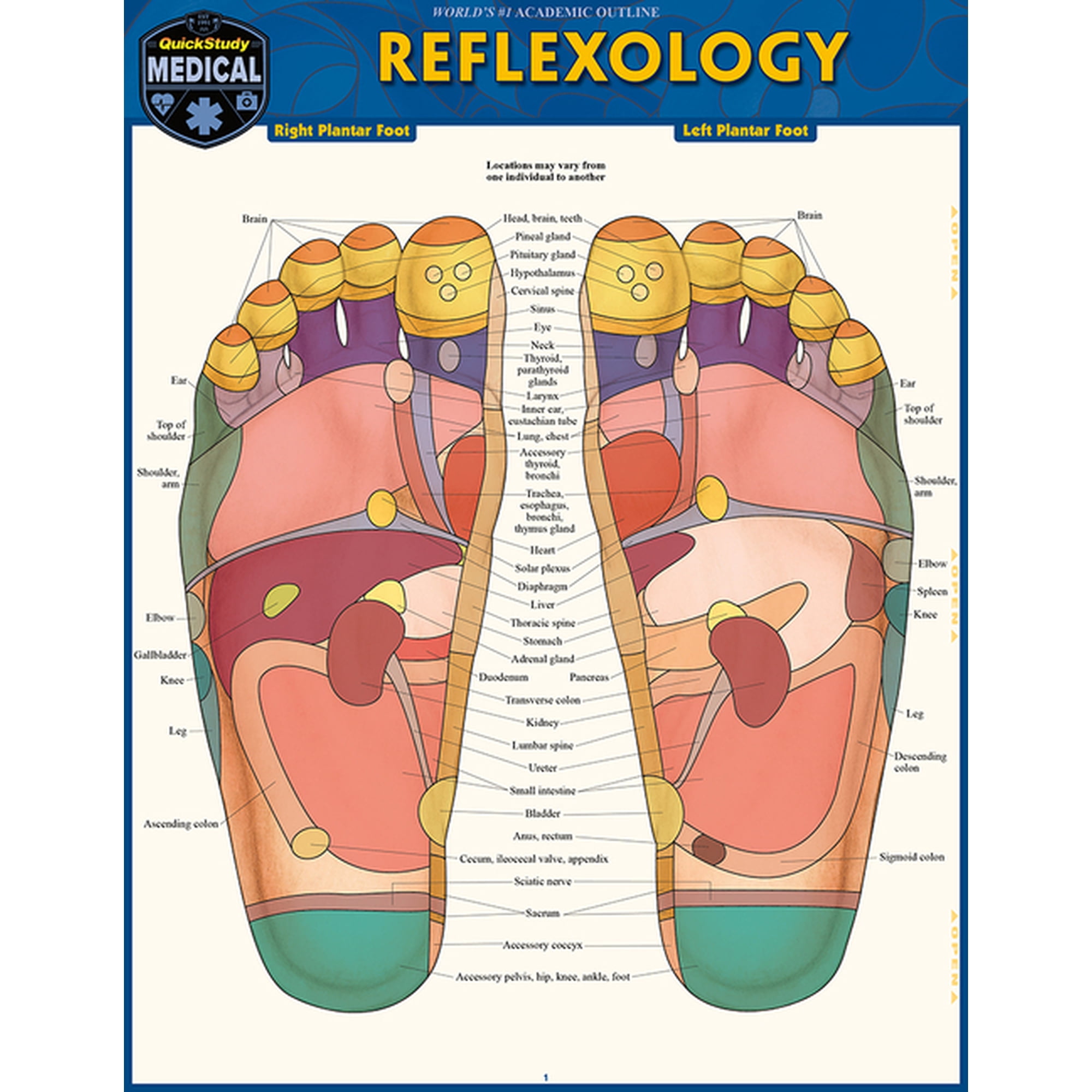 Reflexology: A Quickstudy Laminated Reference Guide, (Paperback)