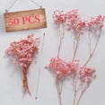 thumbnail image 2 of Dried Babys Breath Flowers Pink Gypsophila Bunches Bulk 50 Pcs Preserved Dried Flowers Long Lasting Flowers for Crafts Album Frame Greeting Card Photo Props Wedding Decor,5 inch/13 cm, 2 of 8