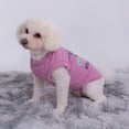 thumbnail image 3 of Camisa con Estampado de Perro para Mascota Xihbxyly Chaleco Pintado Abrigo para Cachorro, 3 of 5