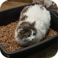 thumbnail image 4 of Kmita Premium - 5 kg - Arena para Gato en Pellets, 100% Natural – Biodegradable – Rinde 5 Veces Más - Cero Olores - Cero Polvo - Ulta Absorbente, 4 of 4