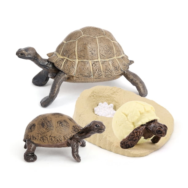 Vogacara Juguete de crecimiento de animales de simulación, juguetes artificiales de reconocimiento educativo, modelos de jardín de infantes para padres Juguetes Educativos Marron oscuro Tipo 4 Vogacara FN010074-04