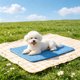 thumbnail image 5 of Alfombrilla refrescante para perros y gatos, lavable, con base antideslizante, almohadilla de hielo portátil para aliviar el calor, múltiples tamaños, uso en interiores y exteriores., 5 of 6