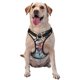 thumbnail image 1 of Fotbe Vibrant Leopard In Flowers Arnés para Perro con Estampado –Chaleco Ajustable Acolchado con Asa de Control para Perros Grandes-Small, 1 of 6