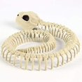 thumbnail image 2 of 1 modelo de esqueleto de serpiente de plástico con huesos de esqueleto, compatible con decoración de Halloween, accesorios aterradores de terror, 2 of 3
