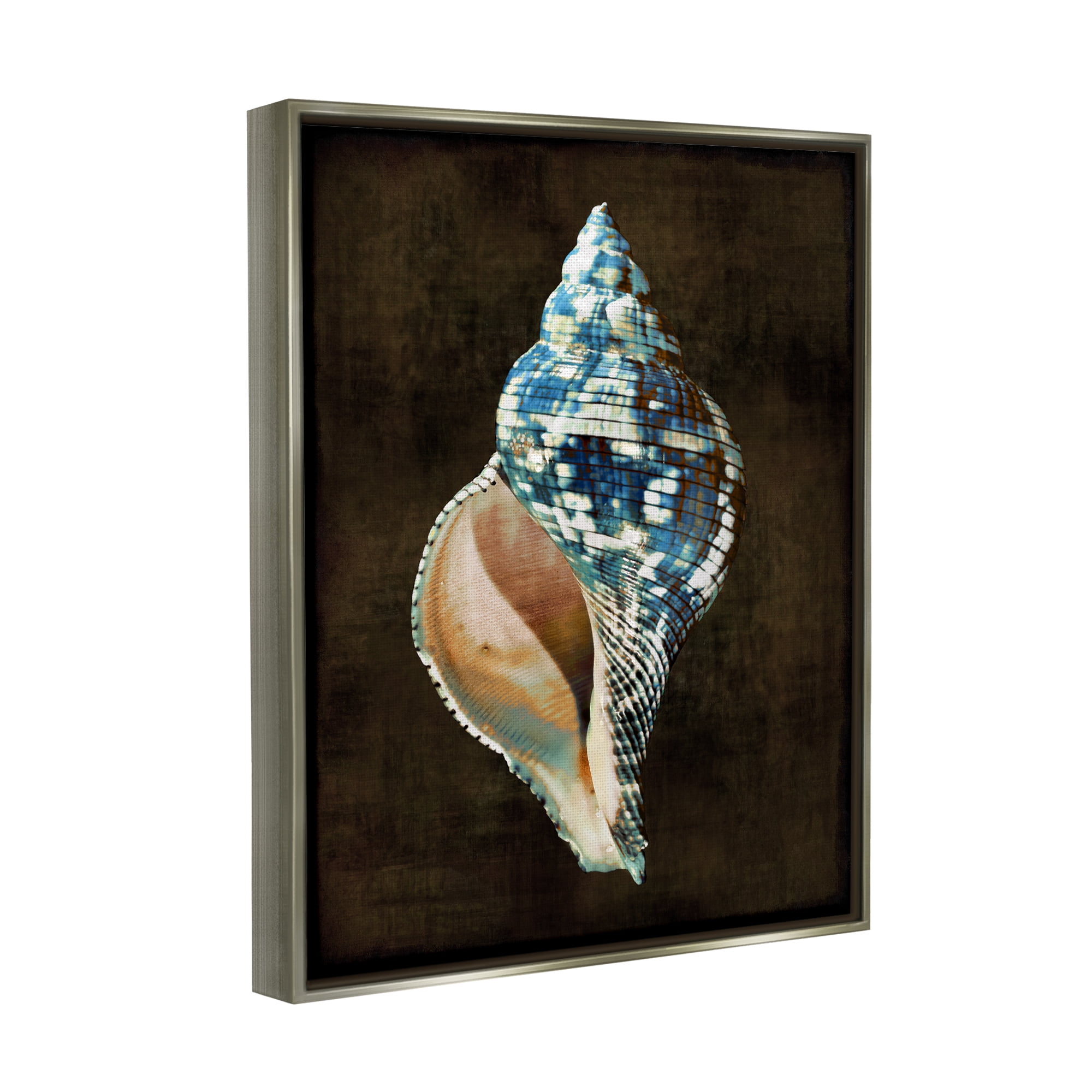 Stupell Industries Dark Patterned Conch Shell Nature Painting Gray Floater Framed Canvas Art Print Wall Art, 17 x 21