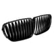 thumbnail image 1 of 2 Pcs Black Front Grille Style Grill for Z4 E85 E86 03-08, 1 of 5