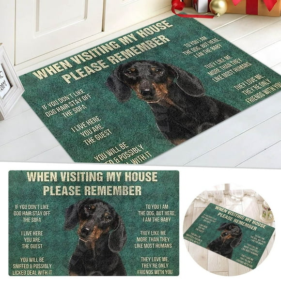 DHGDJ54G Door Mat Welcome Entrance Indoor Door Mat For Front Door/Bathroom/Garden/Kitchen Western Throw Blankets for Couch Rug for Living Room