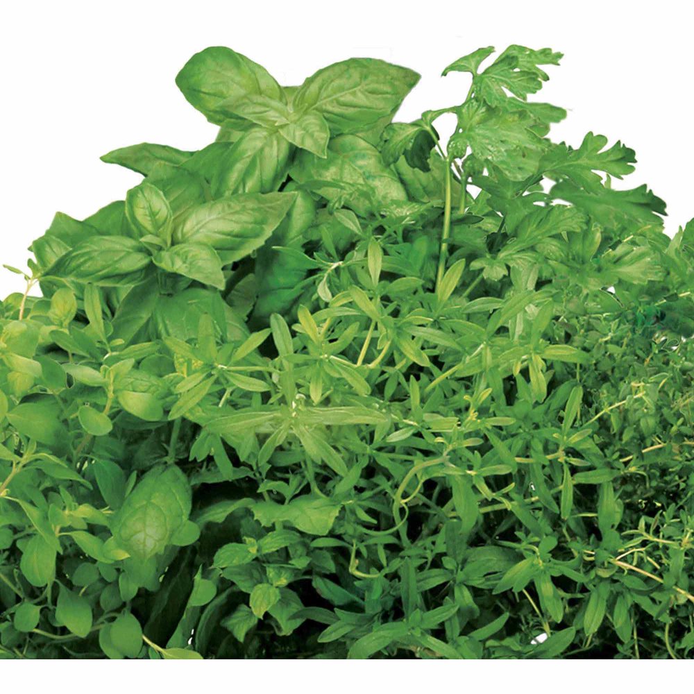 Miracle-Gro AeroGarden Italian Herb 7-Pod Seed Kit - Walmart.com