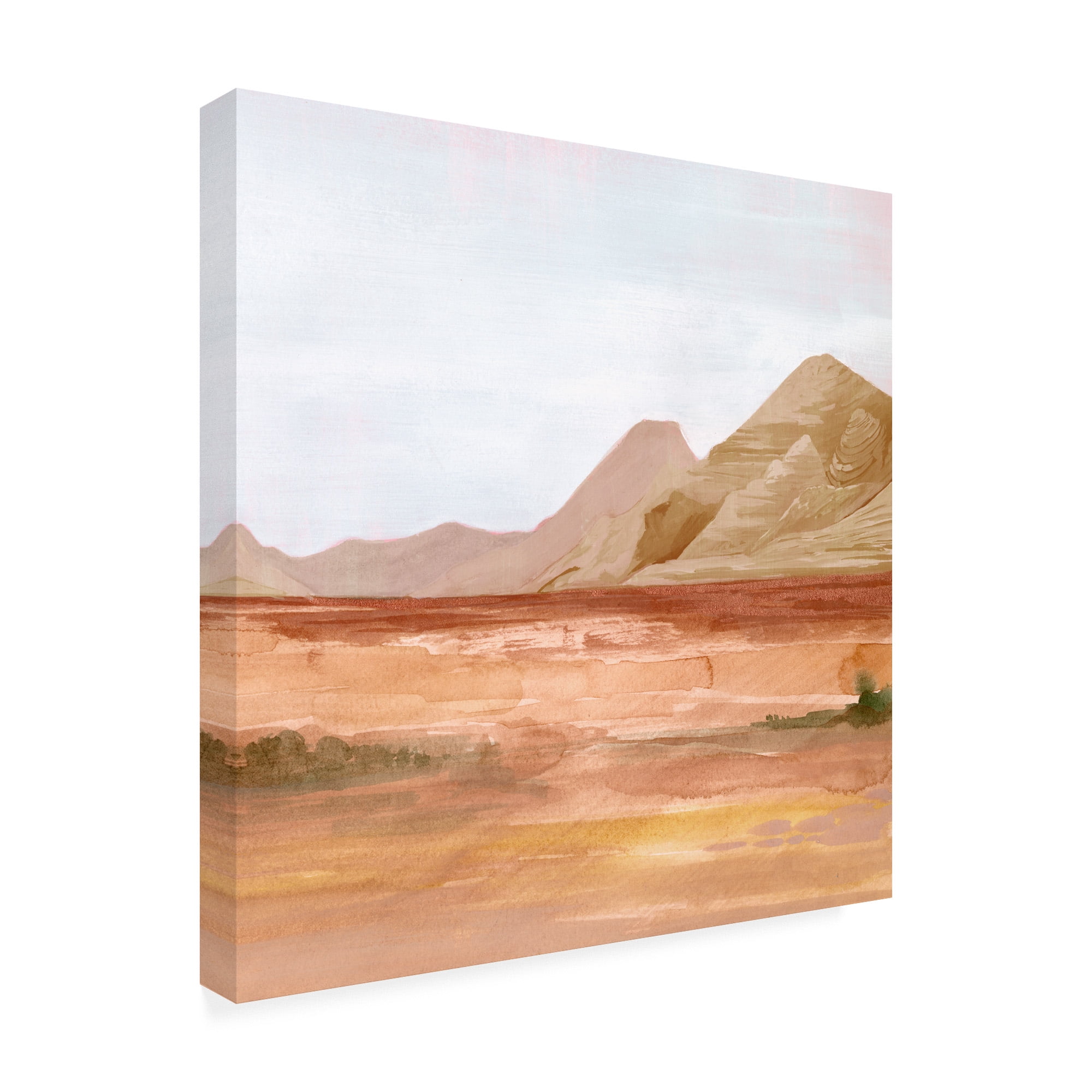Trademark Fine Art 'Desert Formation II' Canvas Art by Jennifer Paxton Parker