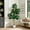 White, variant on 4FT Fiddle Leaf Fig Tree Artificial, Realistic Faux Ficus Lyrata Trees with 141 Leaves, Indoor Fake Floor Plants for Home Office Living Room Decor, with 9" Gray Planter Pot