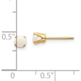 thumbnail image 4 of 14K Yellow Gold 4mm October/Opal Post Earrings (4 X 4) Made In India xbe58, 4 of 5