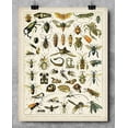 thumbnail image 5 of Insects Entomology Illustration by Adolphe Millot - 11x14 Unframed Art Print, 5 of 6