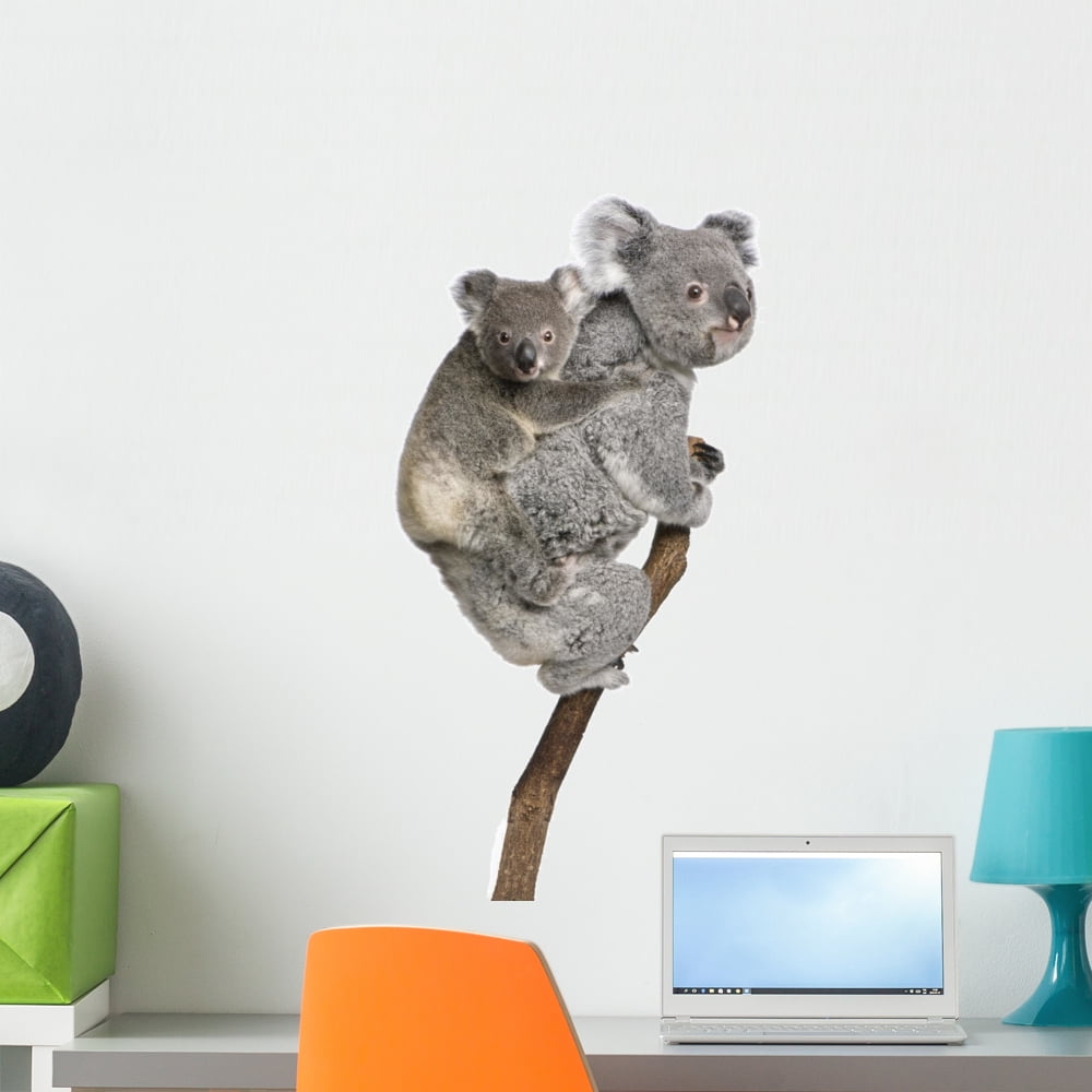 Koala Bears Climbing Tree Wall Decal by Wallmonkeys Peel and Stick