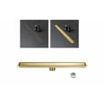 thumbnail image 1 of Coladera Xtellar Lineal De Lujo 10×60cm Doble Vista Dorado Satinado, 1 of 4
