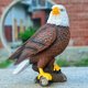 thumbnail image 4 of Estatua de águila calva detalles ricos en la cabeza figura de águila patriótica aspecto realista para cafetería y bar ANGGREK Otros, 4 of 8