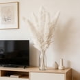 thumbnail image 6 of Dried Pampas Grass Decor, 8 PCS Pampas Grass with Bunny Tails Dried Flowers, Reed Grass Bouquet for Wedding, Boho Flowers, Home Table Decor, Rustic Farmhouse Party, 6 of 6