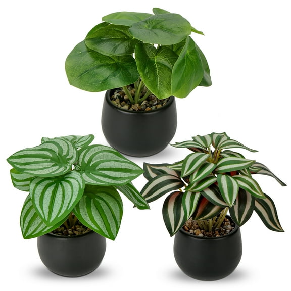 3PCS Artificial Plants Potted Mini Fake Plants in Black Ceramic Pots Faux Greenery Plants Home Decor