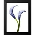 thumbnail image 2 of Koetsier, Albert 15x18 Black Modern Framed Museum Art Print Titled - Rowdy Calla Lilly Duo, 2 of 5