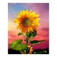 thumbnail image 1 of leyfeng 12*16 pulgadas girasol DIY 5D diamante pintura Kit taladro completo diamante pintura flor patrón acrílico, 1 of 8