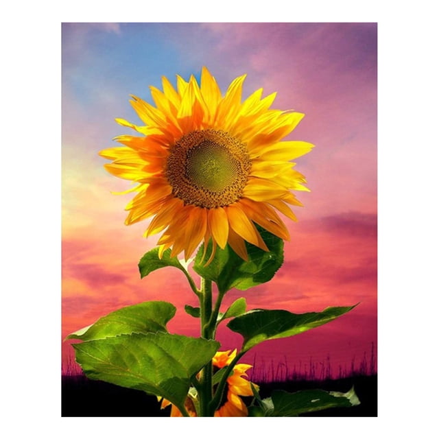 leyfeng 12*16 pulgadas girasol DIY 5D diamante pintura Kit taladro completo diamante pintura flor patrón acrílico