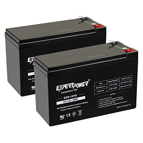 ExpertPower Batterie SLA Standard 12V 7AH Rechargeable, (EXP1270-2) - Lot de 2