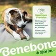 thumbnail image 6 of Benebone Zaggler Rolling Dog Chew Toy for Aggressive Chewers, Real Chicken, Made in USA, Small, 6 of 6