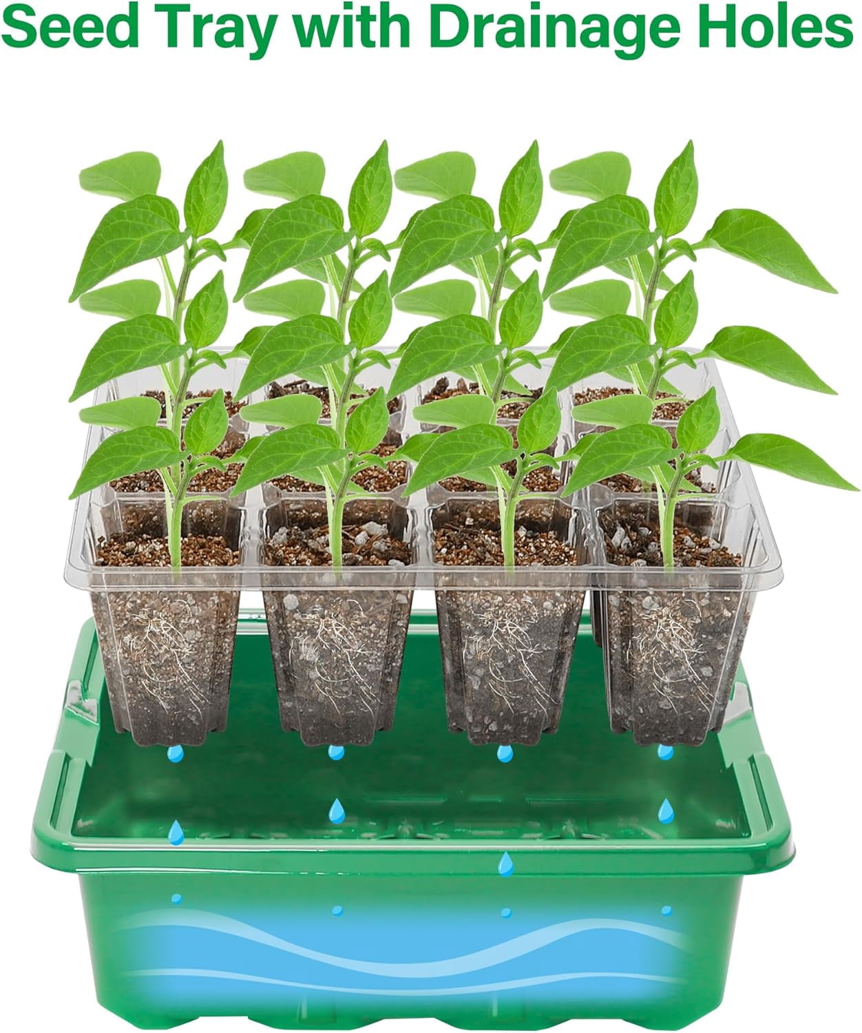5 Packs Seed Starter Tray with Plant Light, Elevated Seedling Starter Trays Kits with Adjustable Humidity Domes and Clear Cell Tray, 12 Full Spectrum led lamp Beads for Plants Indoor-Green