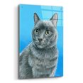 thumbnail image 2 of Epic Art 'Gray Cat' by Rebecca Wang Art, Acrylic Glass Wall Art, 24"x36", 2 of 8